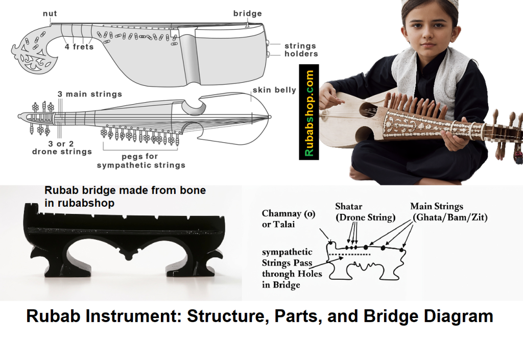 rubab instrument : structure, parts, and bridge diagram